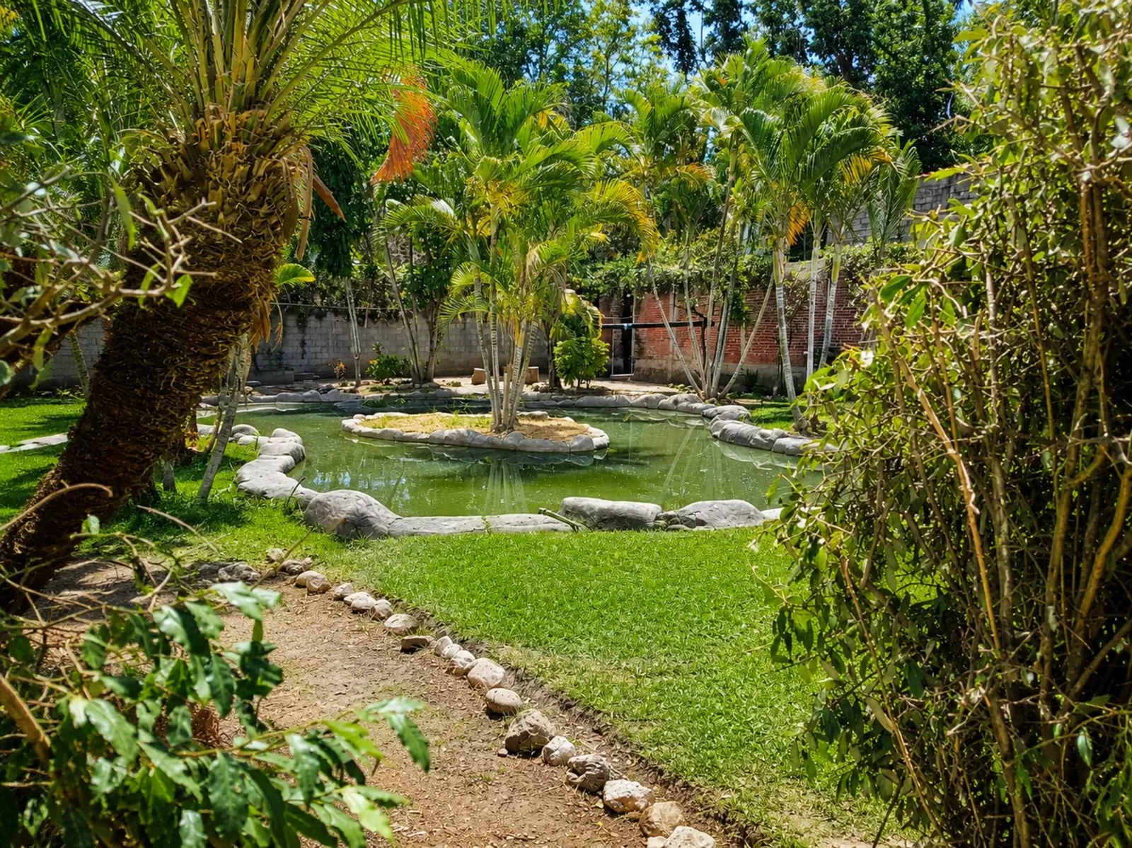 Jardín con palmeras y estanque natural